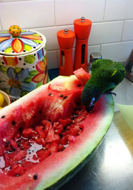 Smith County Watermelon